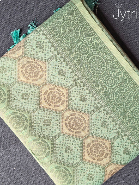 Pastel Green Tissue Silk Saree